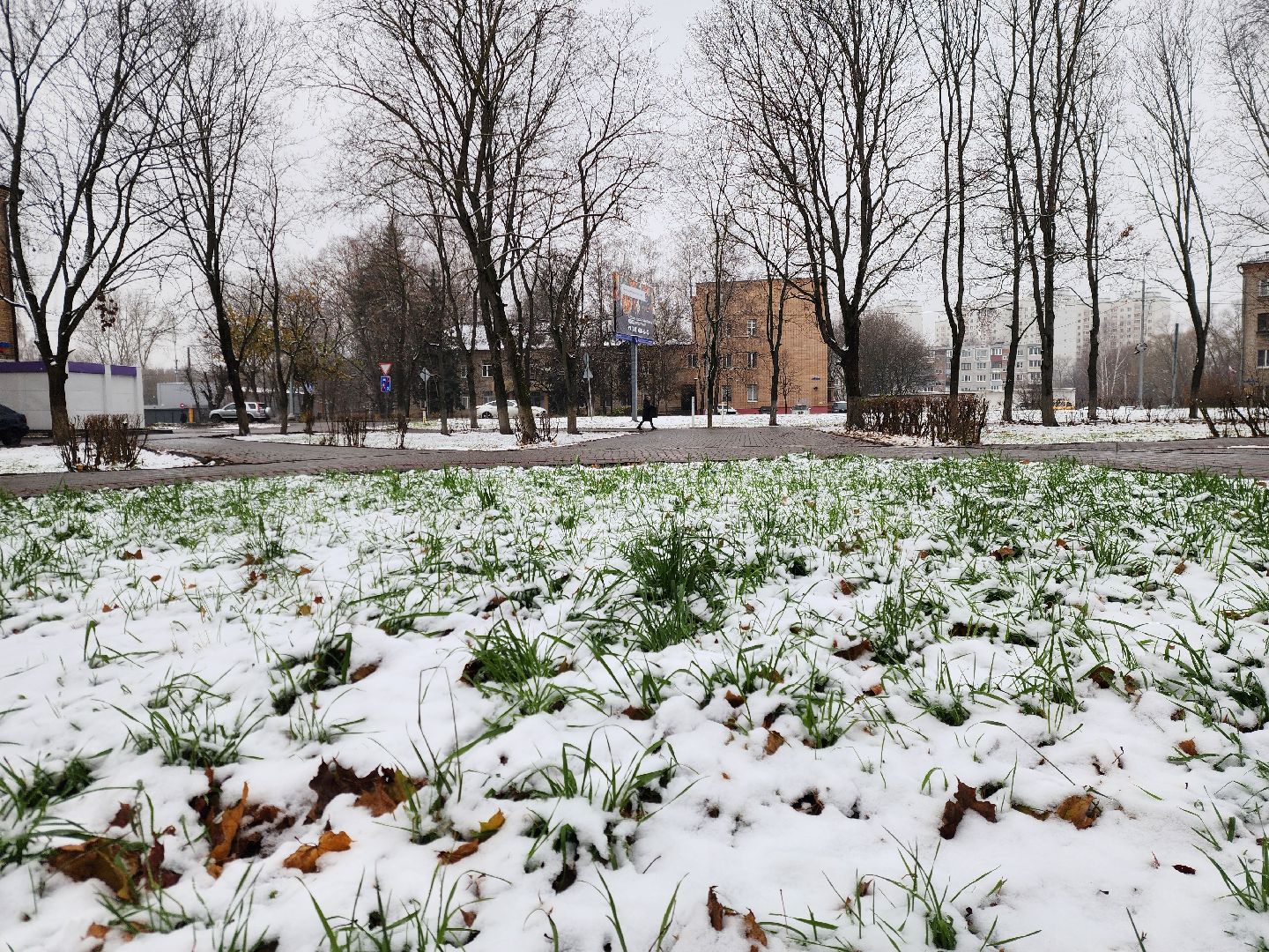 ногинск, жители, общество, жкх, коммунальная служба, уборка снега, снегопад, вертикалки