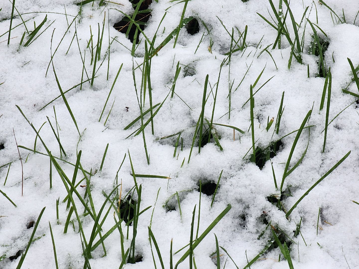ногинск, жители, общество, жкх, коммунальная служба, уборка снега, снегопад, вертикалки
