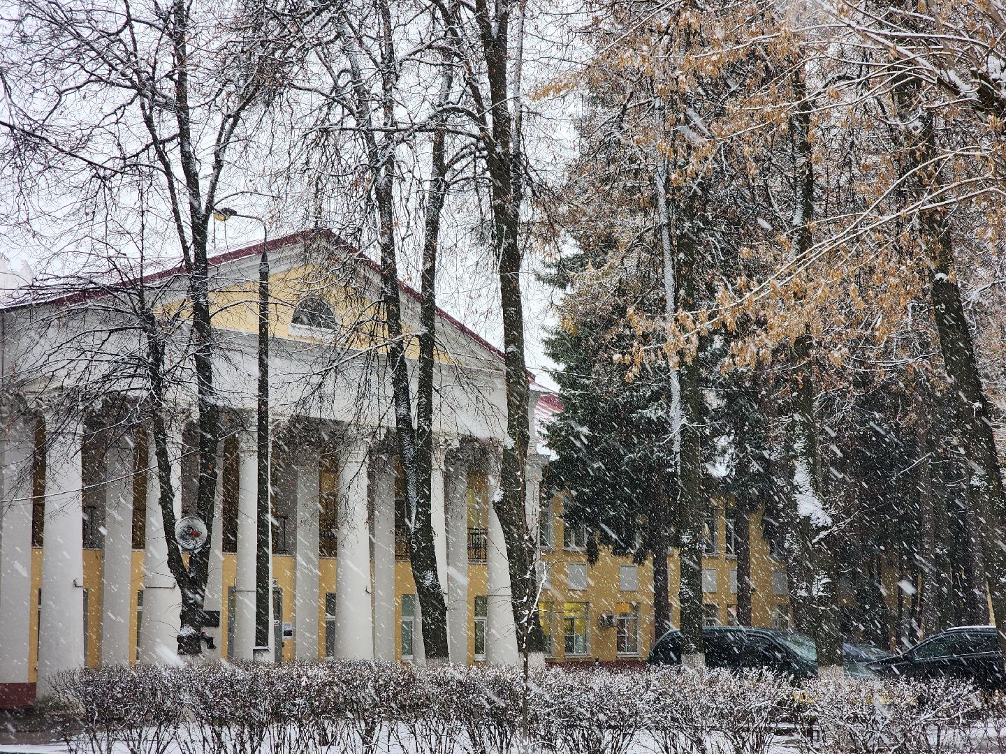 Подольск, премия подмосковный врач, супруги врачи, областная премия, конкурс,