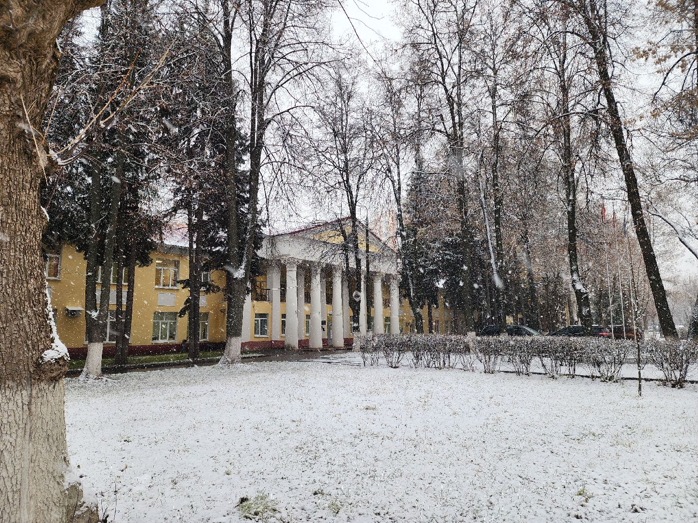 Подольск, премия подмосковный врач, супруги врачи, областная премия, конкурс,