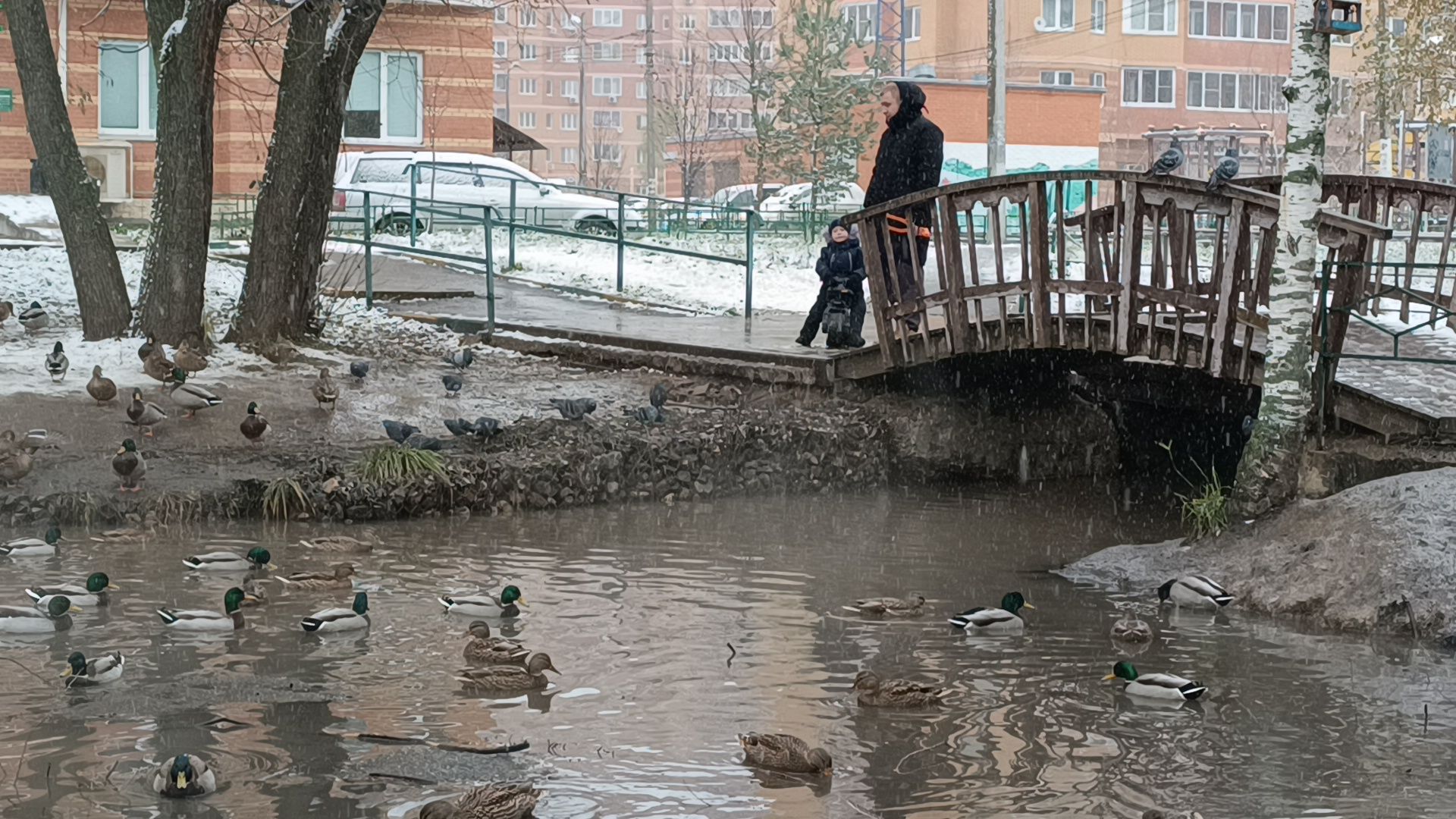 снег, лобня, снегопад, вертикалки,