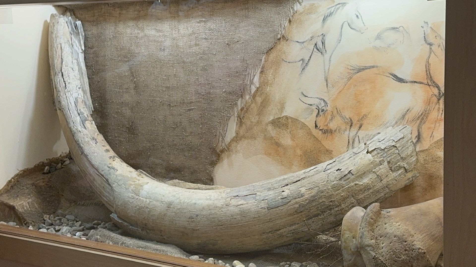 Солнечногорск, Школьники, Уроки по археологии, Занятия, Артефакты, вертикалки