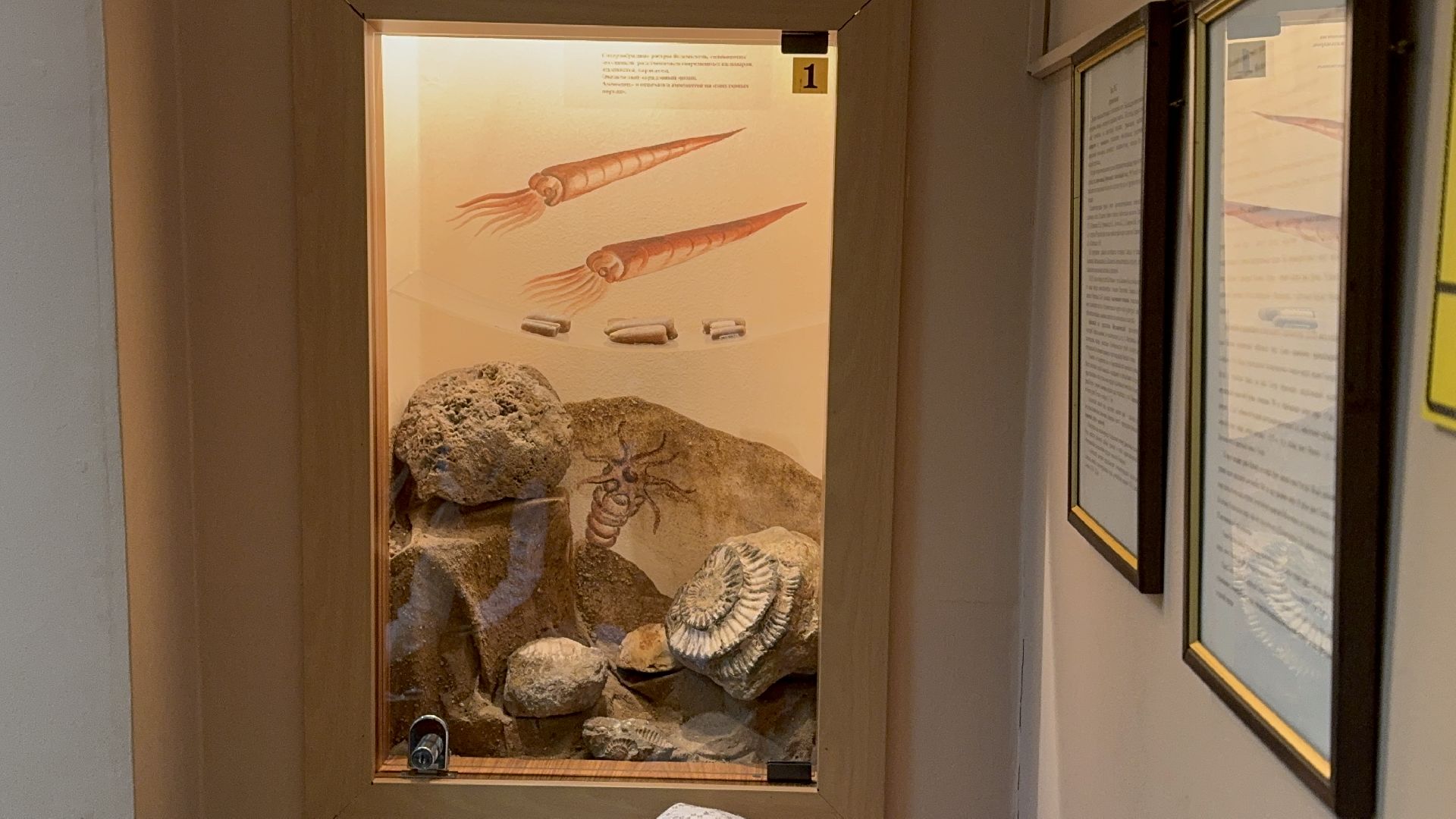 Солнечногорск, Школьники, Уроки по археологии, Занятия, Артефакты, вертикалки