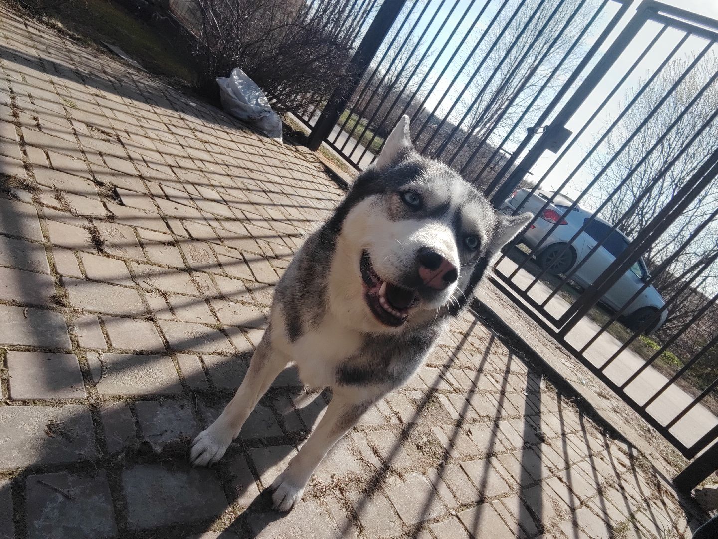 Пушкино, Пушкинский округ, весна в Подмосковье, МЧС, пожары, ЧС