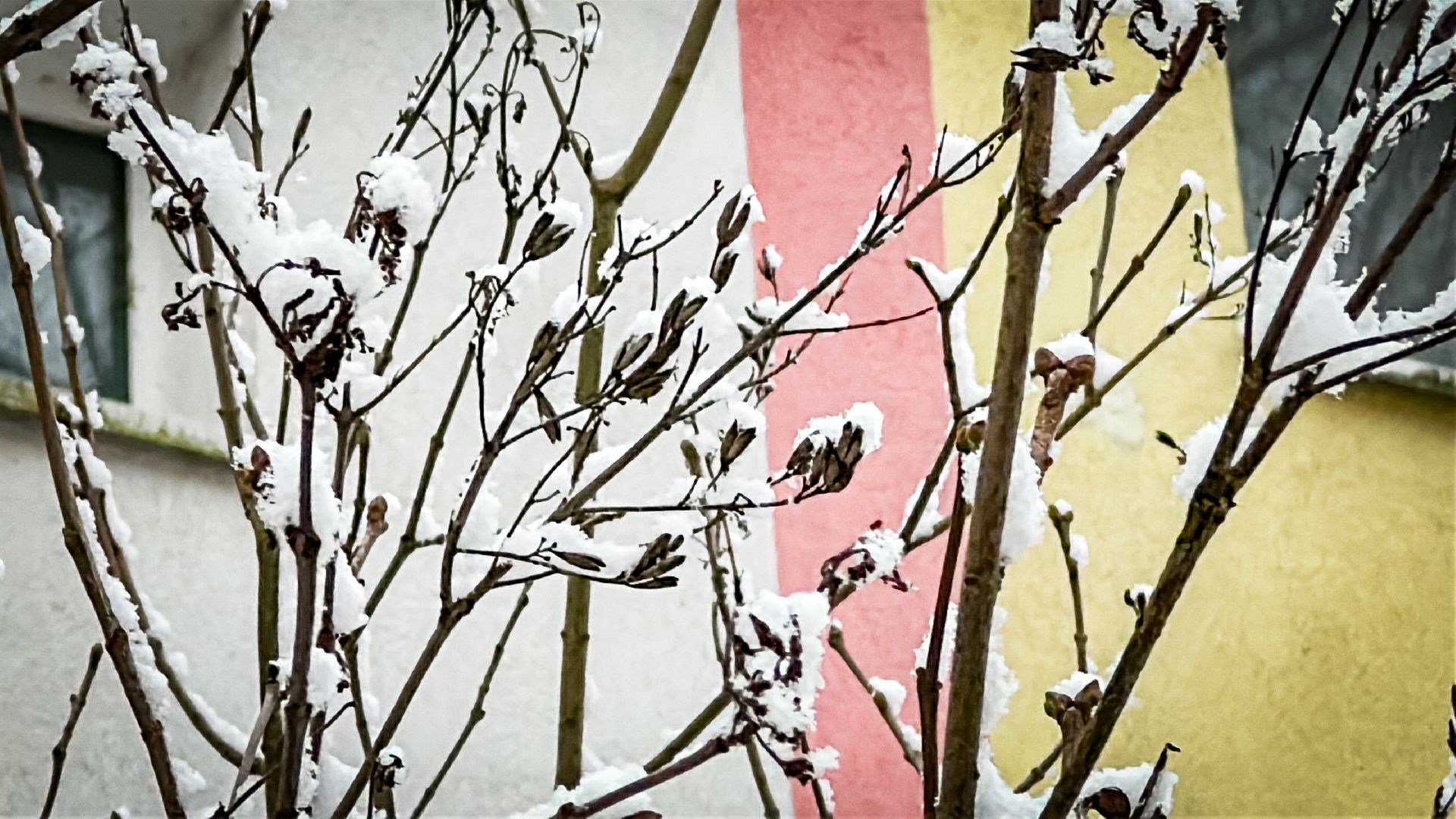 Клин, общество, ЖКХ, благоустройство, вертикалки,