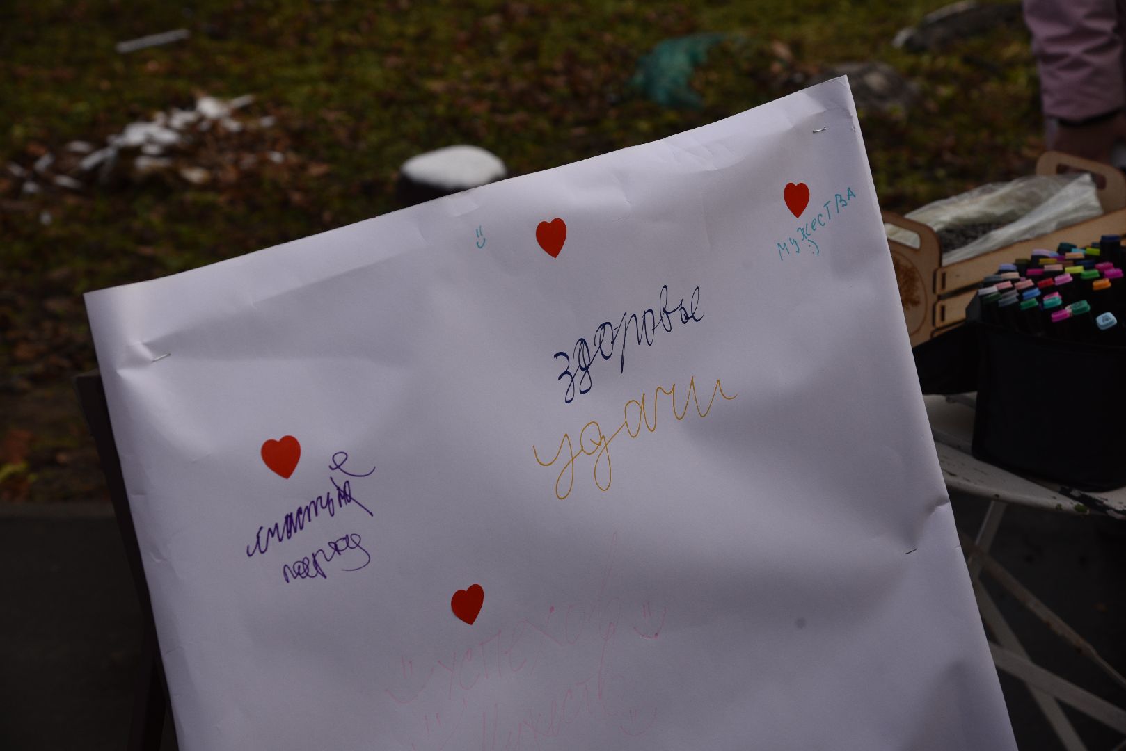 лотошино, лотошинский парк, птицы, твори добро, акция, парки подмосковья,