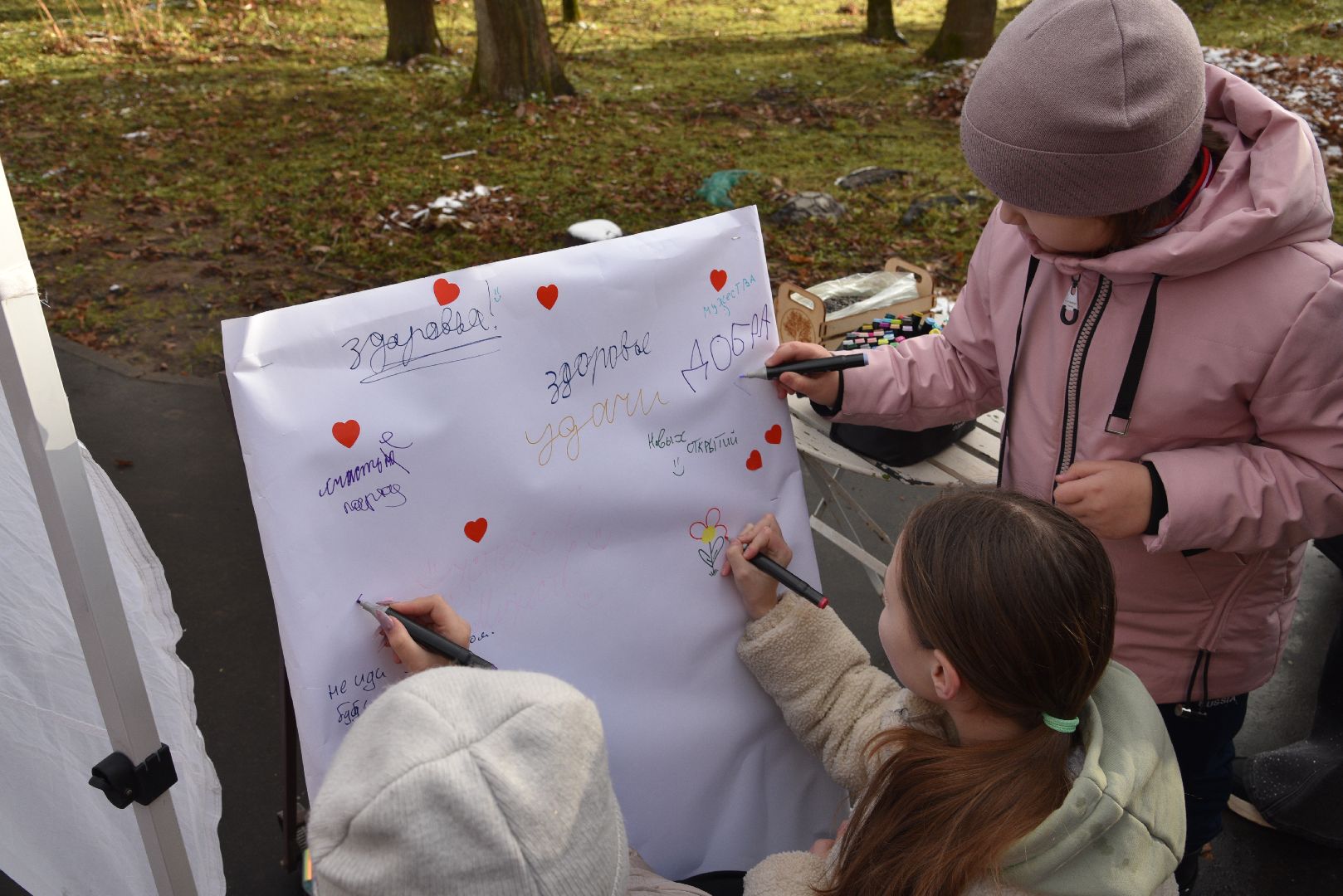лотошино, лотошинский парк, птицы, твори добро, акция, парки подмосковья,