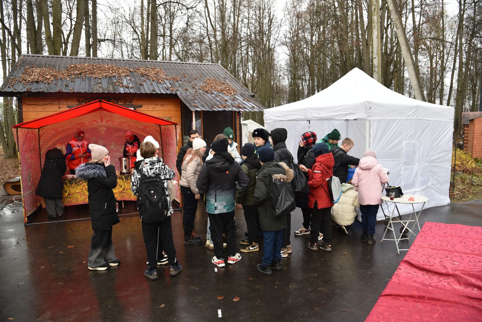 лотошино, лотошинский парк, птицы, твори добро, акция, парки подмосковья,