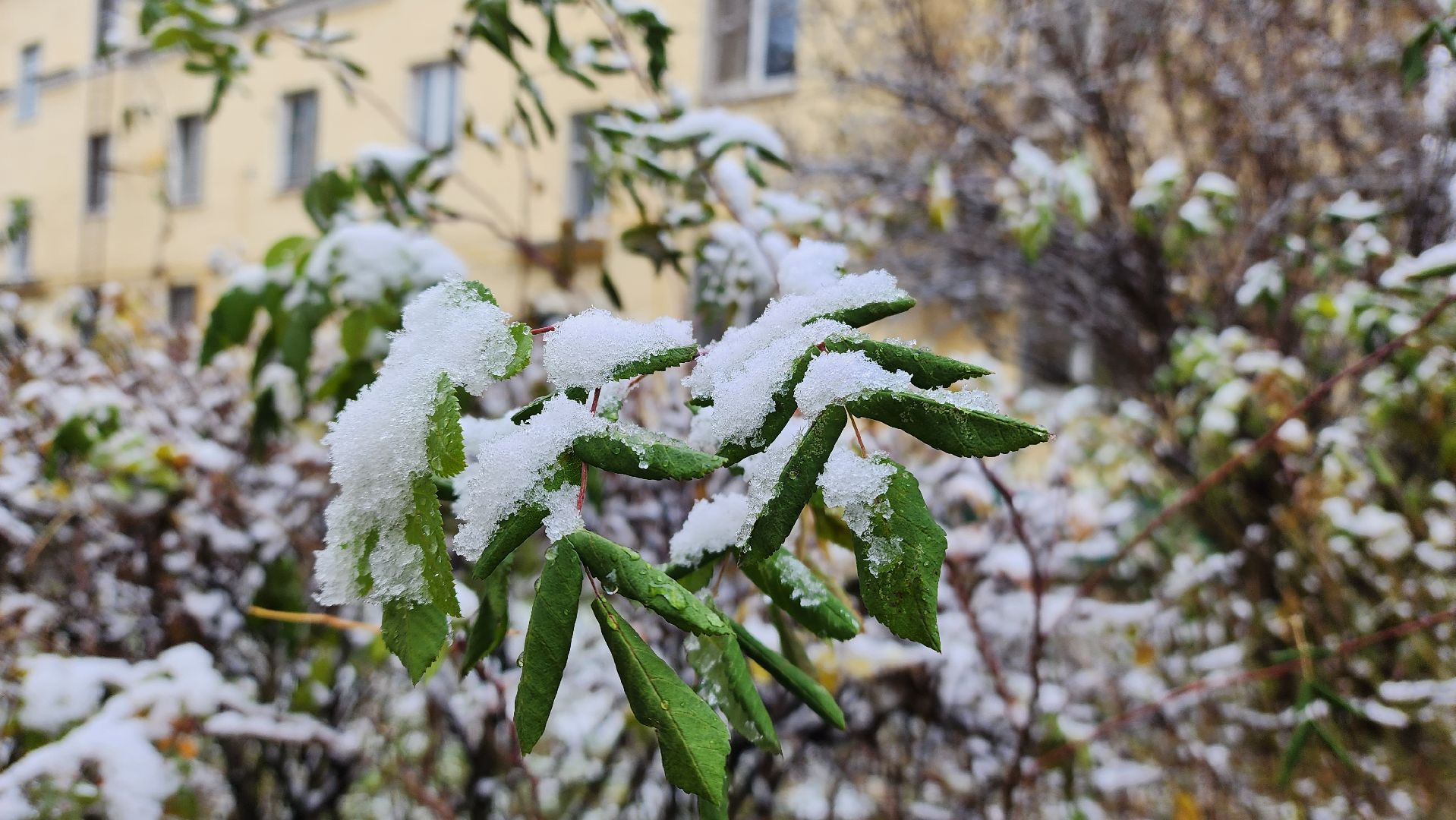 Снег, снегопад, Уборка снега, вертикалки,