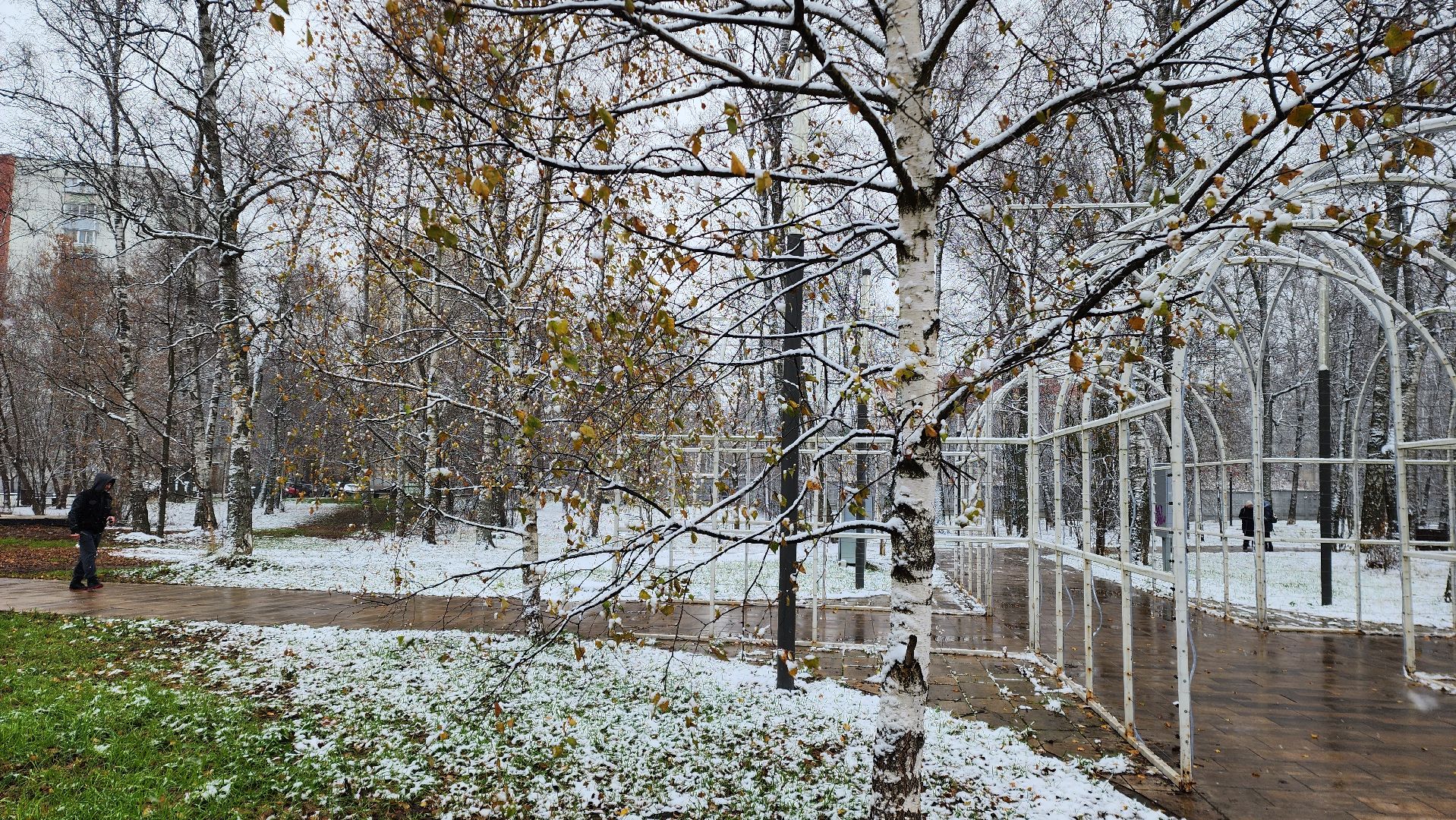 Снег, снегопад, Уборка снега, вертикалки,