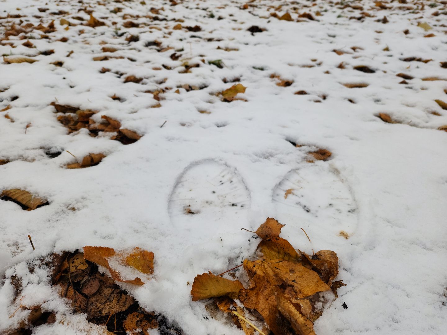 зима, каток, снег, вертикалки,