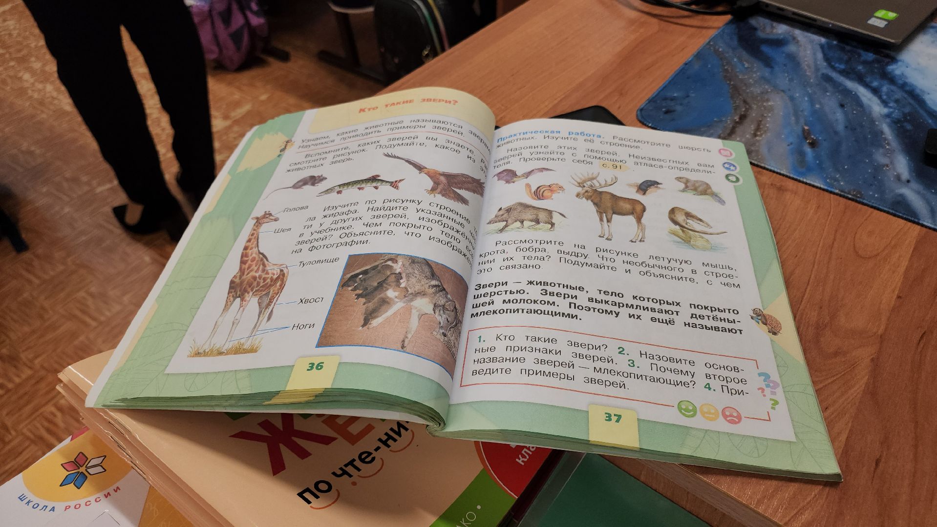 кашира, молодой учитель, образование,