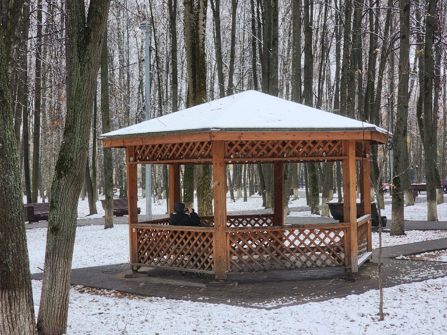 королёв, вертикалки,