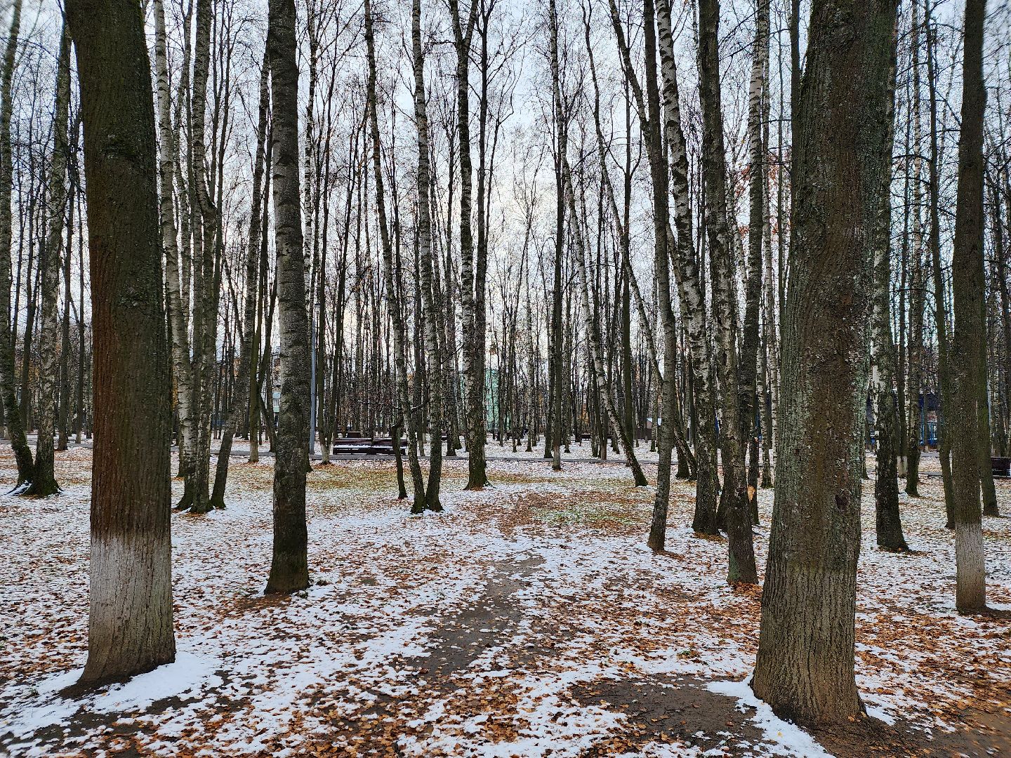 королёв, вертикалки,