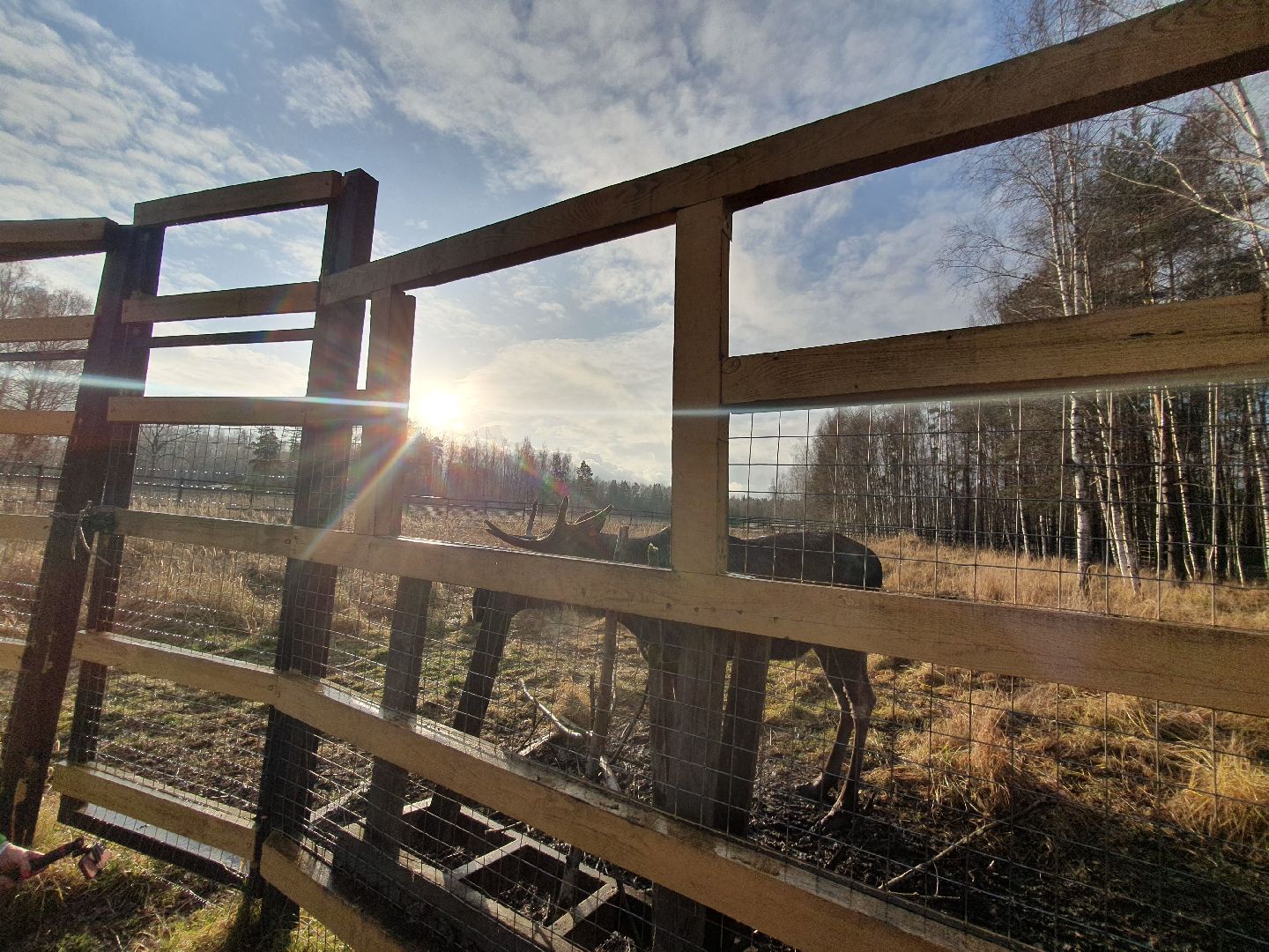 вертикалки, лосиный остров,
