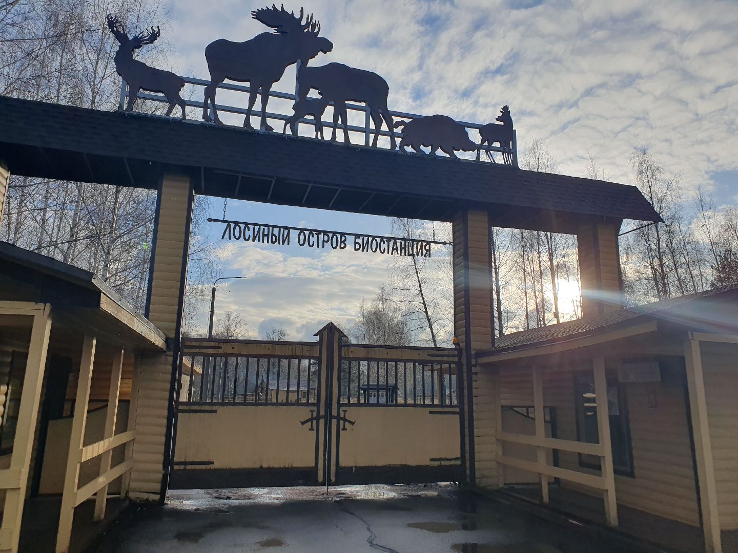 вертикалки, лосиный остров,