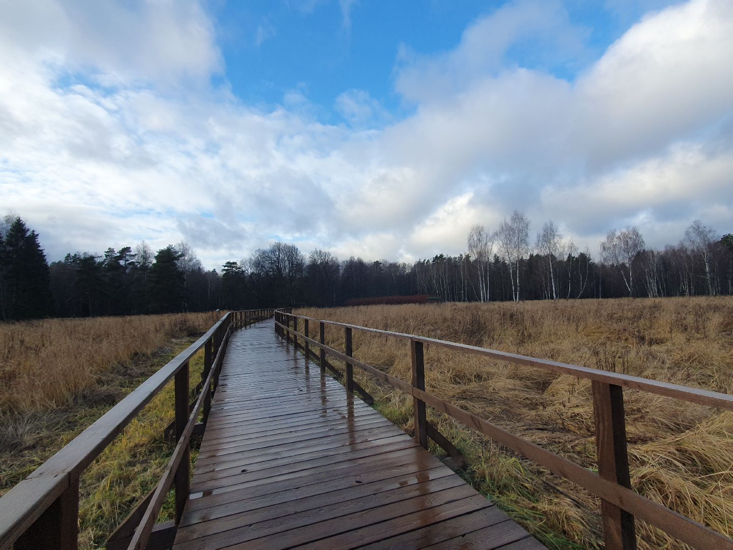 вертикалки, лосиный остров,