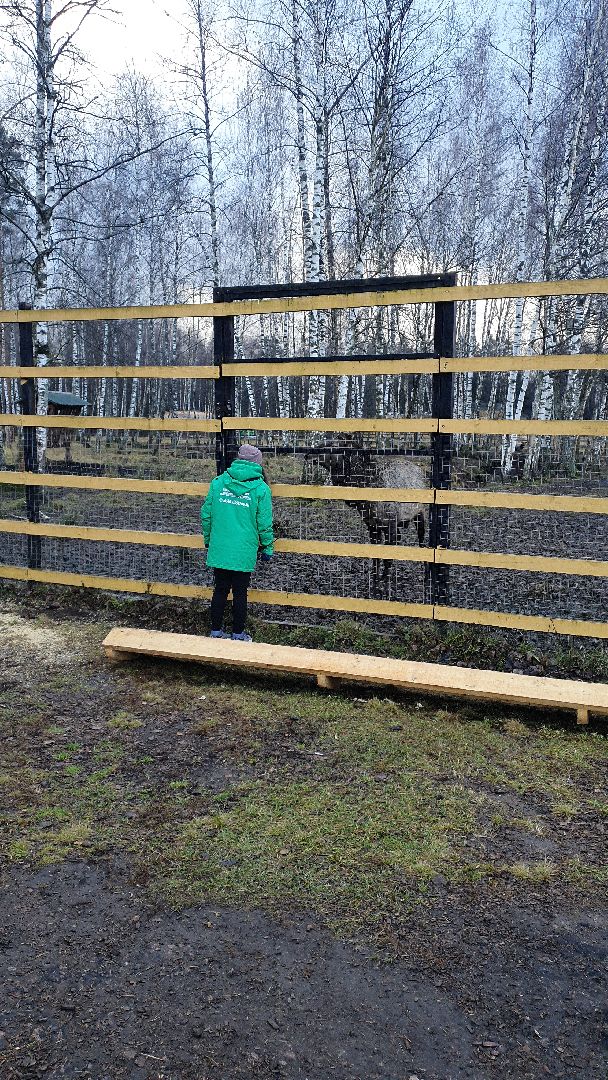 вертикалки, лосиный остров,