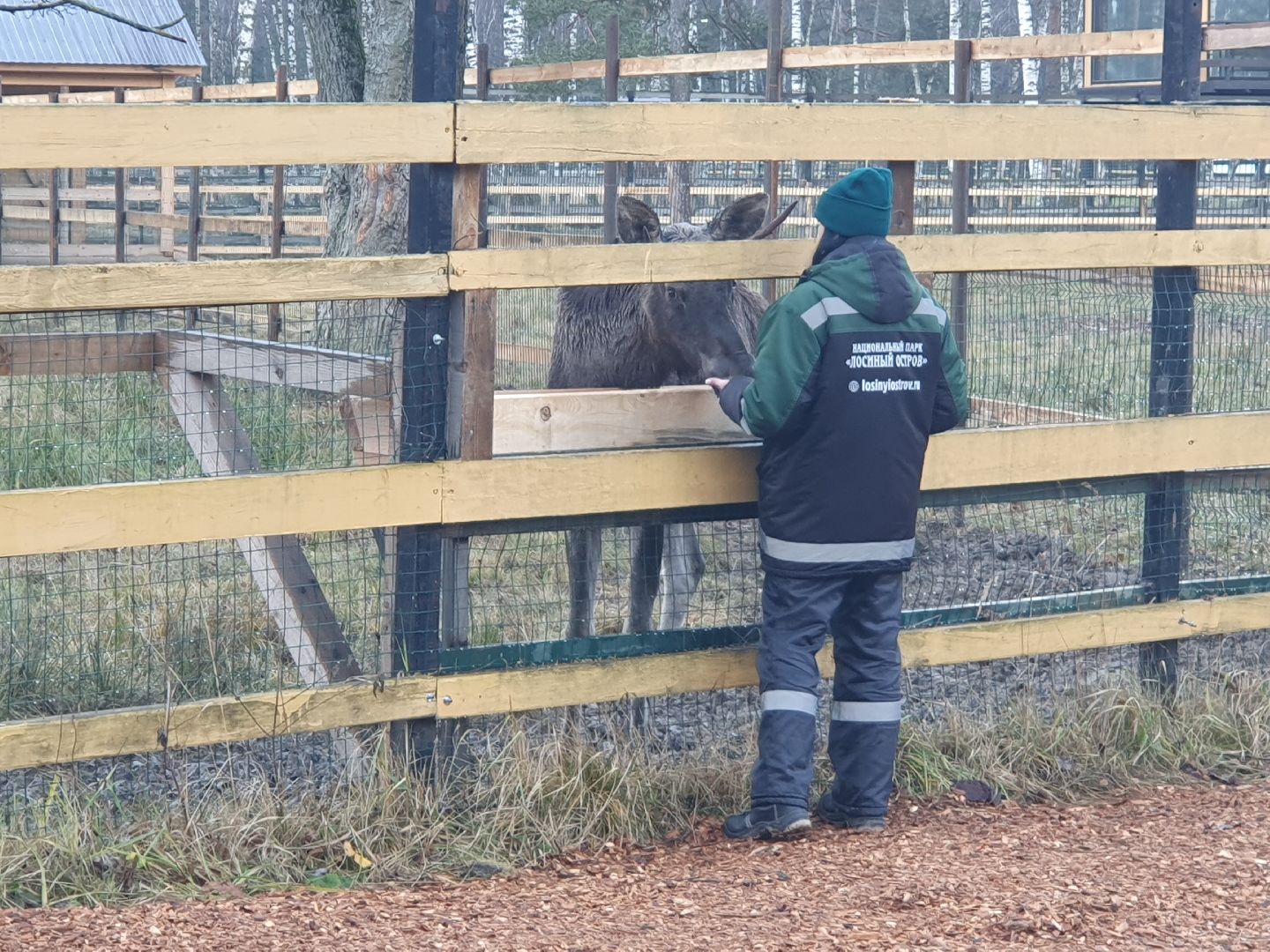 вертикалки, лосиный остров,