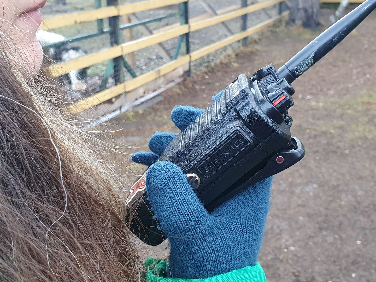 вертикалки, лосиный остров,