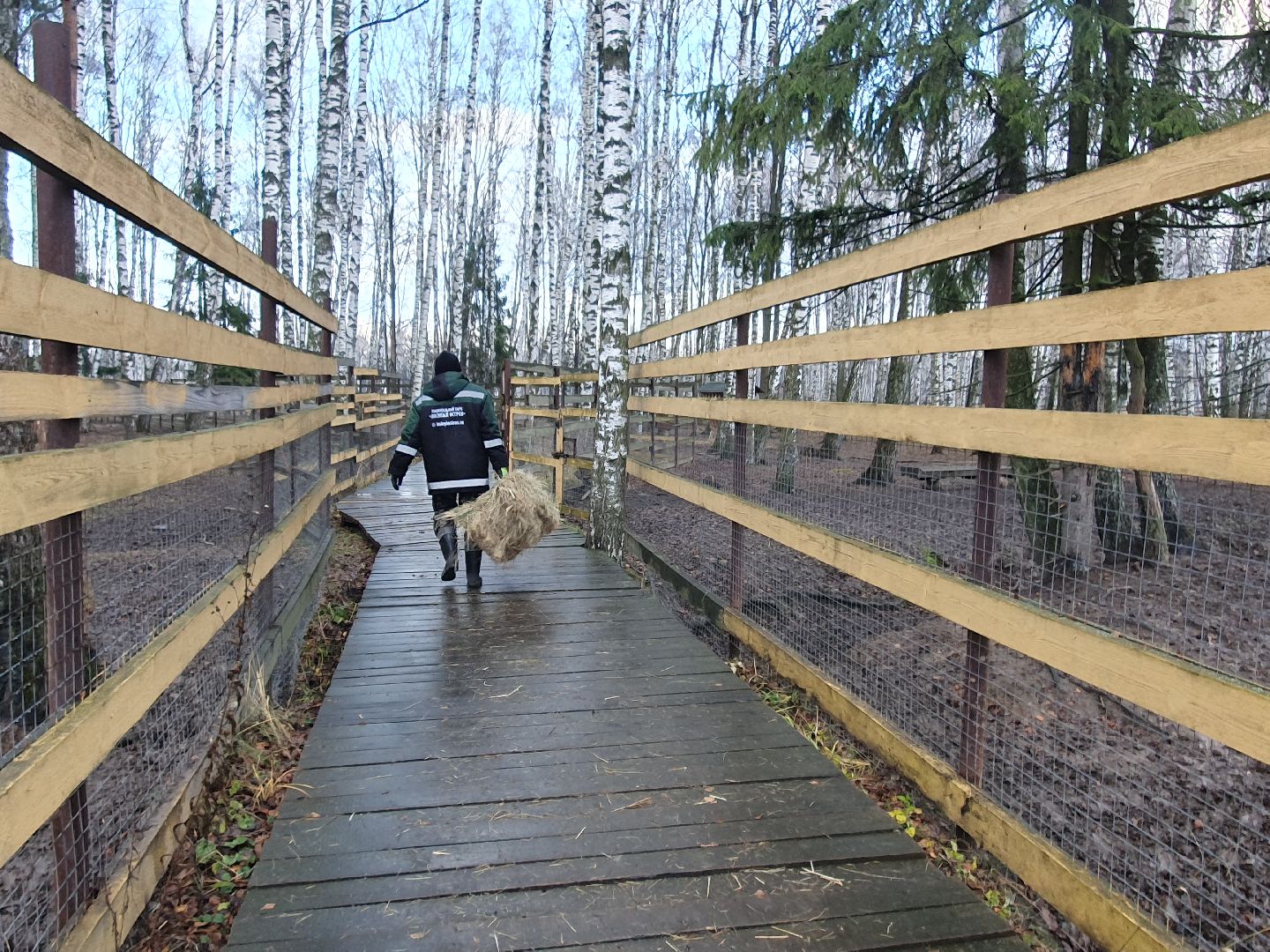 вертикалки, лосиный остров,