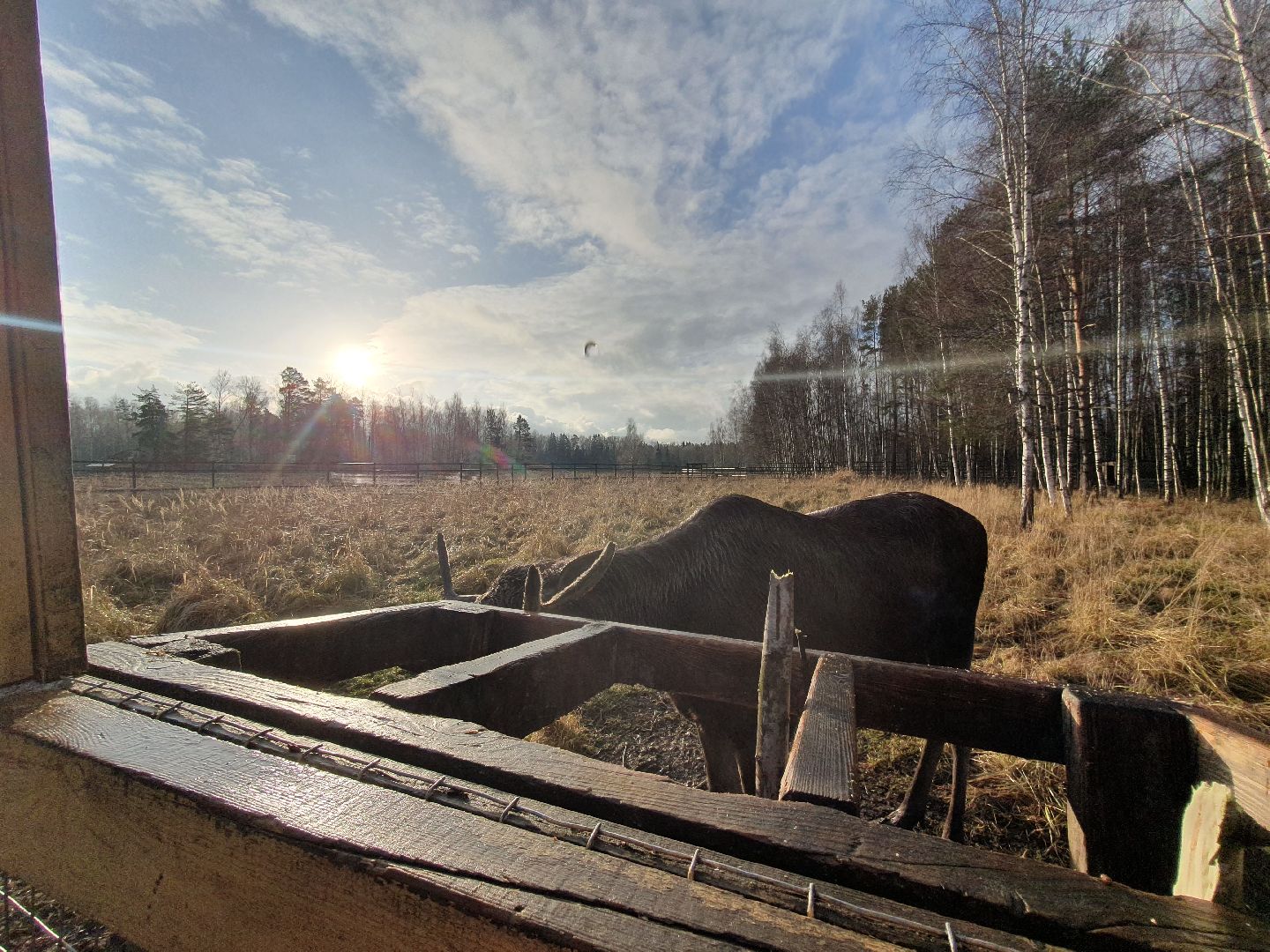 вертикалки, лосиный остров,