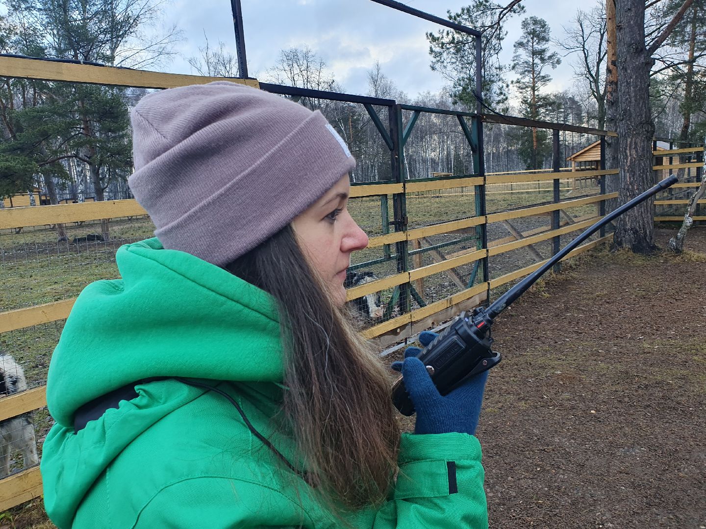 вертикалки, лосиный остров,