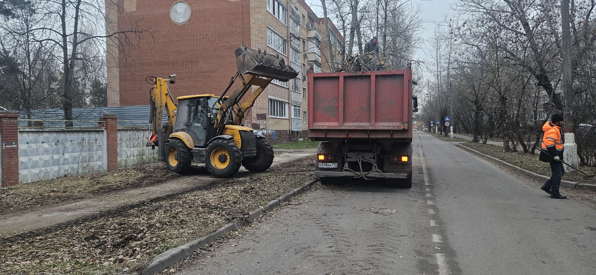 коммунальное хозяйство, аварийные деревья, жуковский,