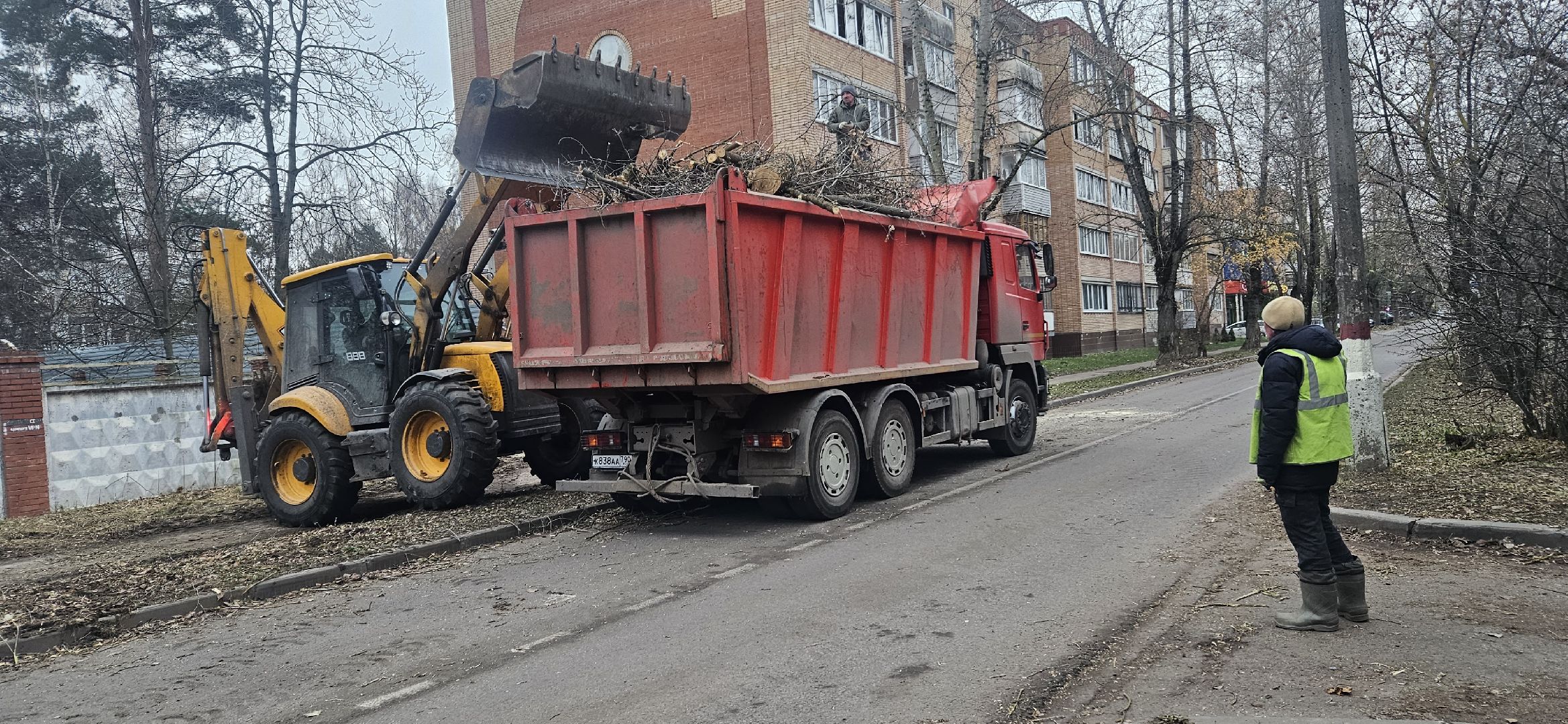 коммунальное хозяйство, аварийные деревья, жуковский,