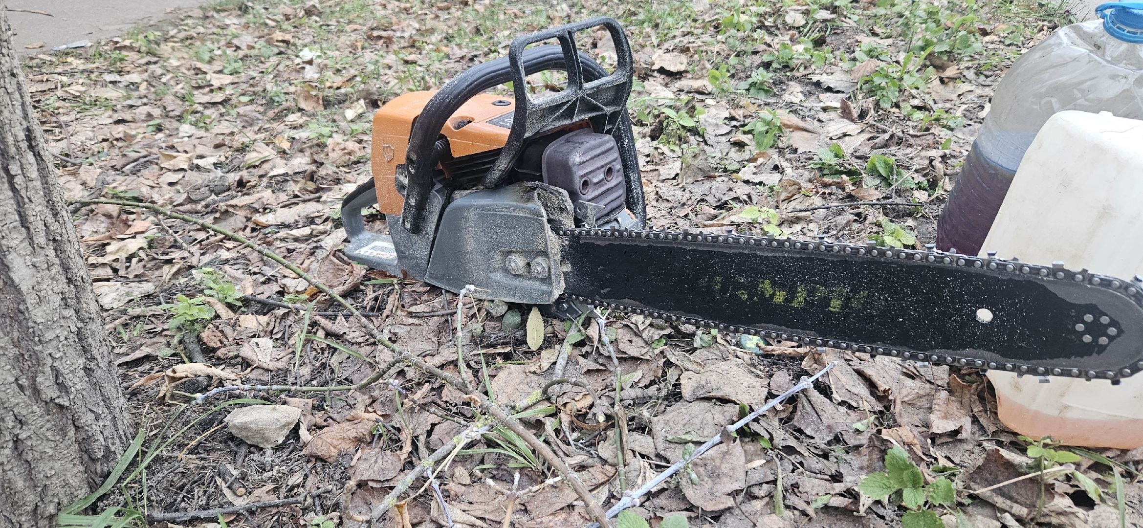 коммунальное хозяйство, аварийные деревья, жуковский,