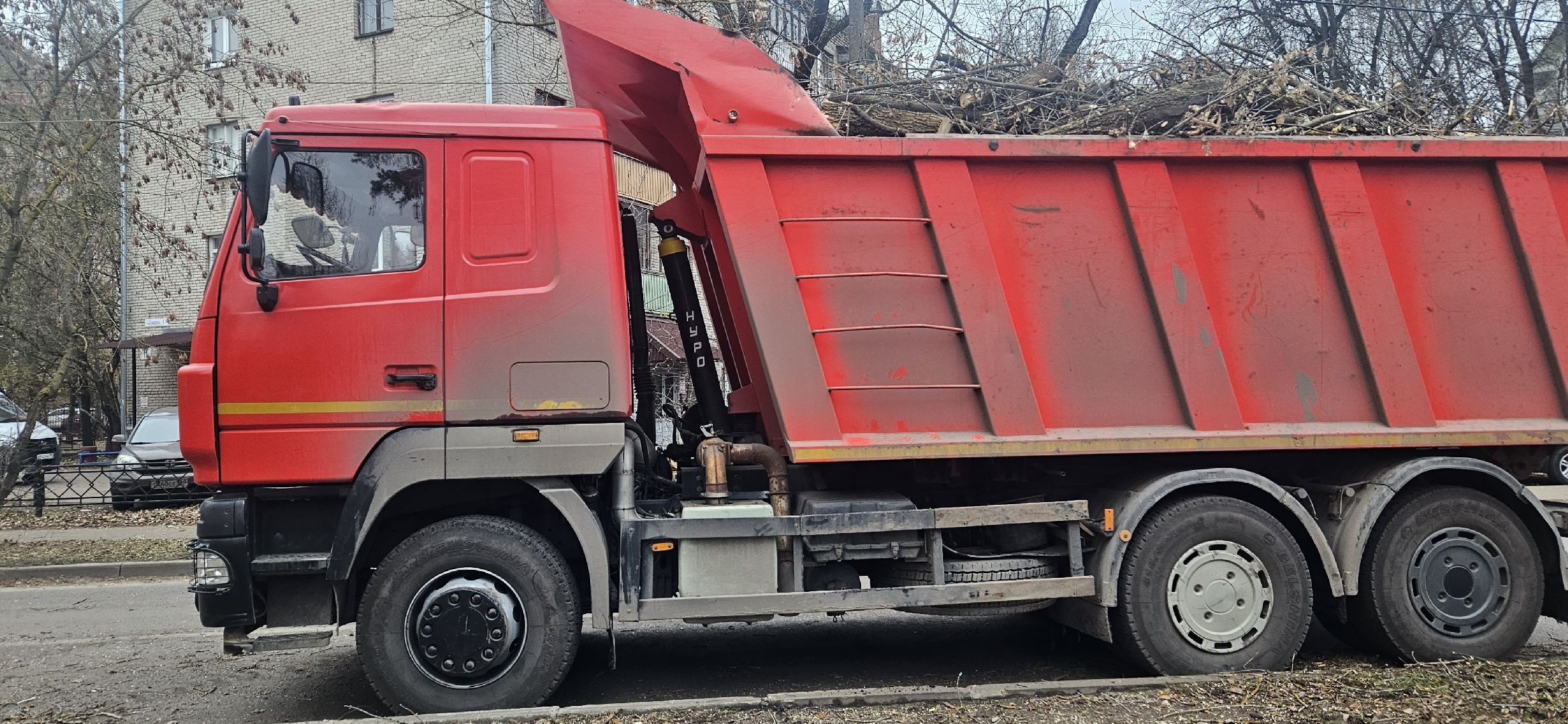 коммунальное хозяйство, аварийные деревья, жуковский,