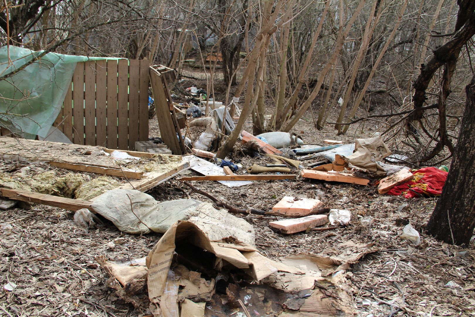 Субботник, РГГУ, Домодедово, экология