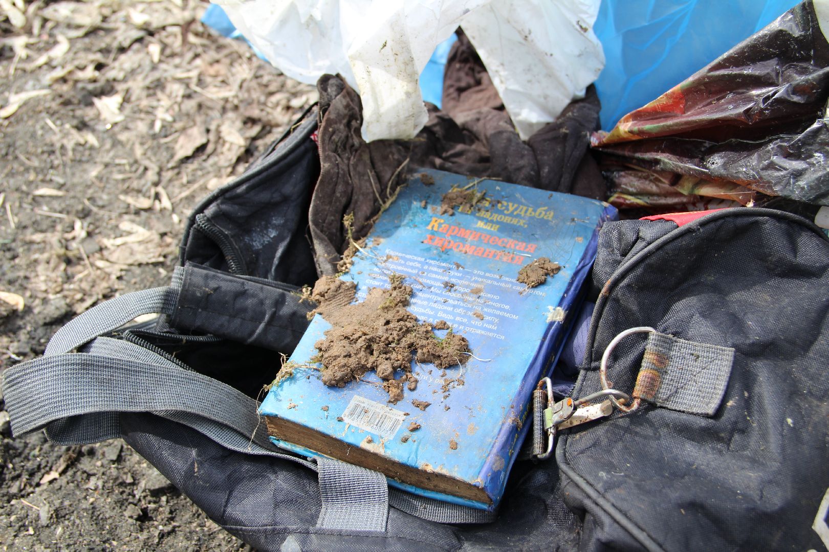 Субботник, РГГУ, Домодедово, экология