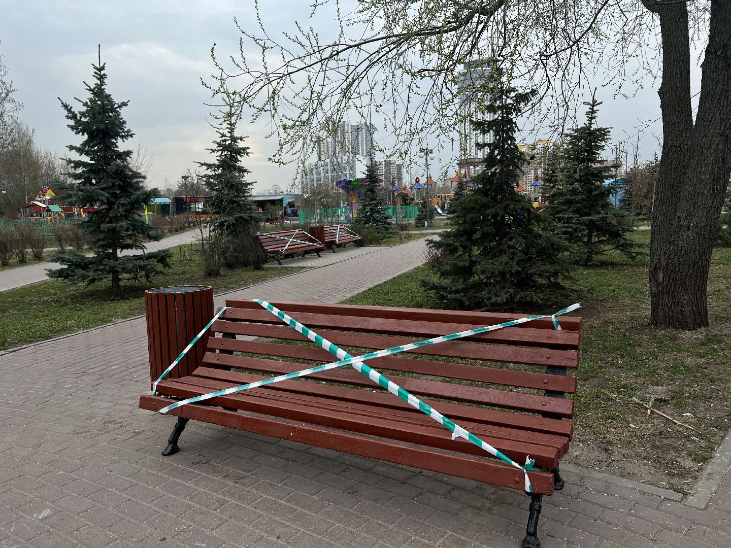 Химки, Эко-Берег, благоустройство, парк, месяц благоустройства