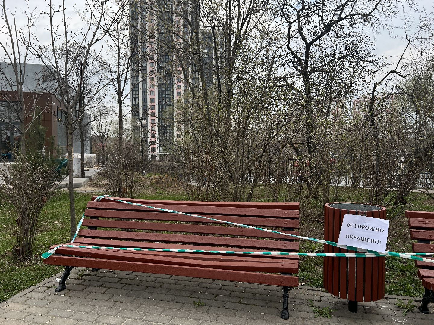 Химки, Эко-Берег, благоустройство, парк, месяц благоустройства