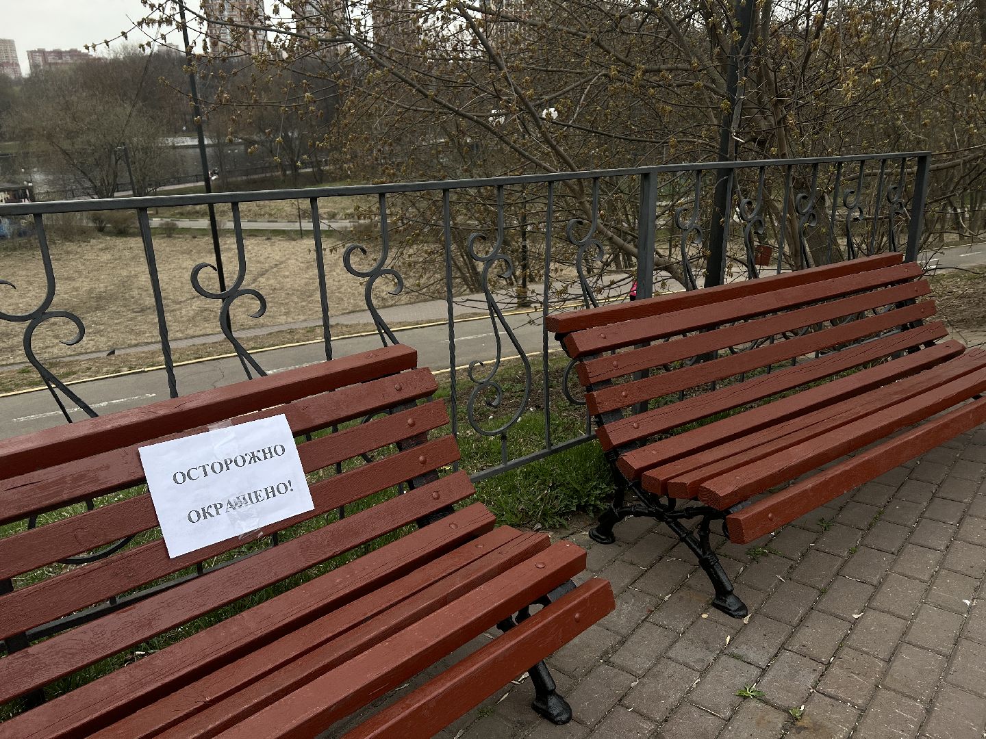 Химки, Эко-Берег, благоустройство, парк, месяц благоустройства