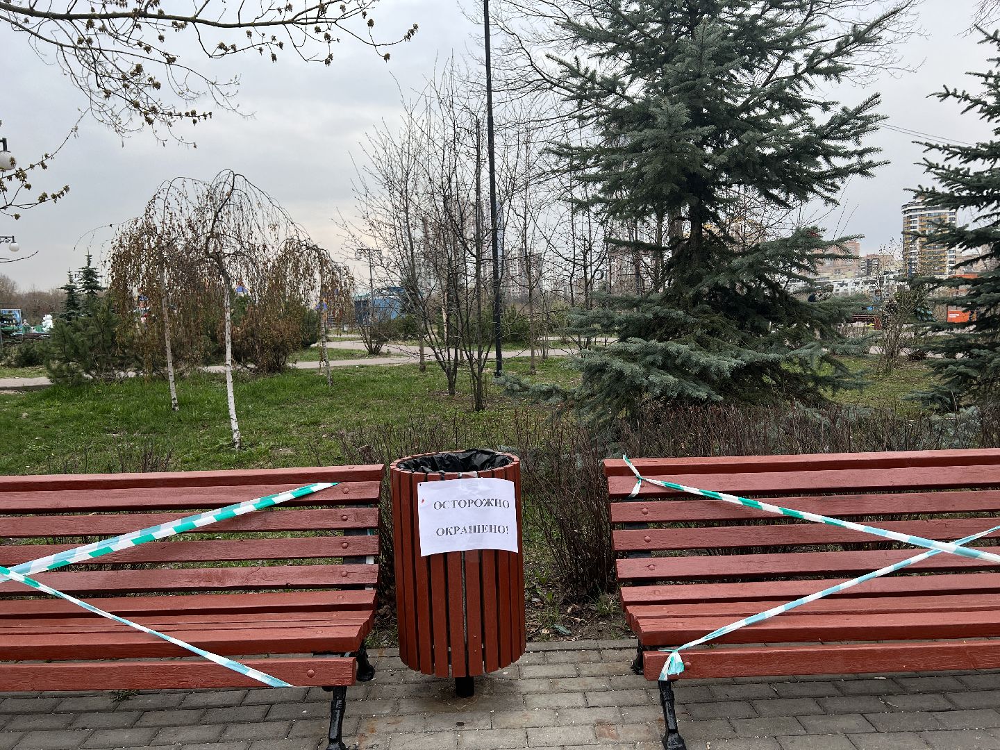 Химки, Эко-Берег, благоустройство, парк, месяц благоустройства