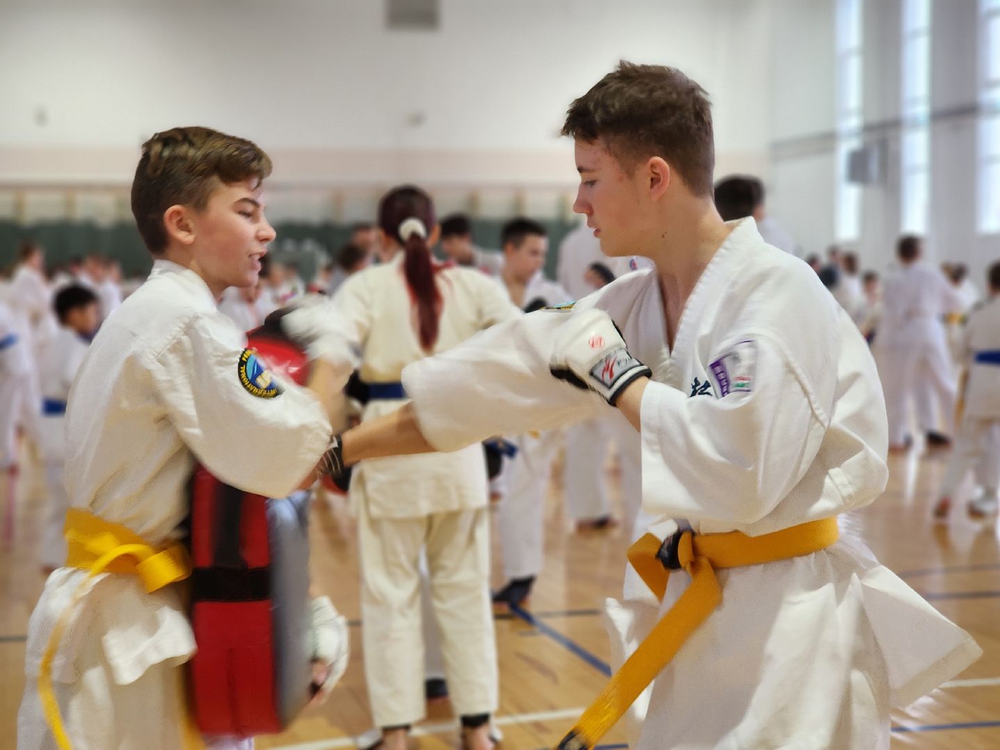 Луховицы, спорт,