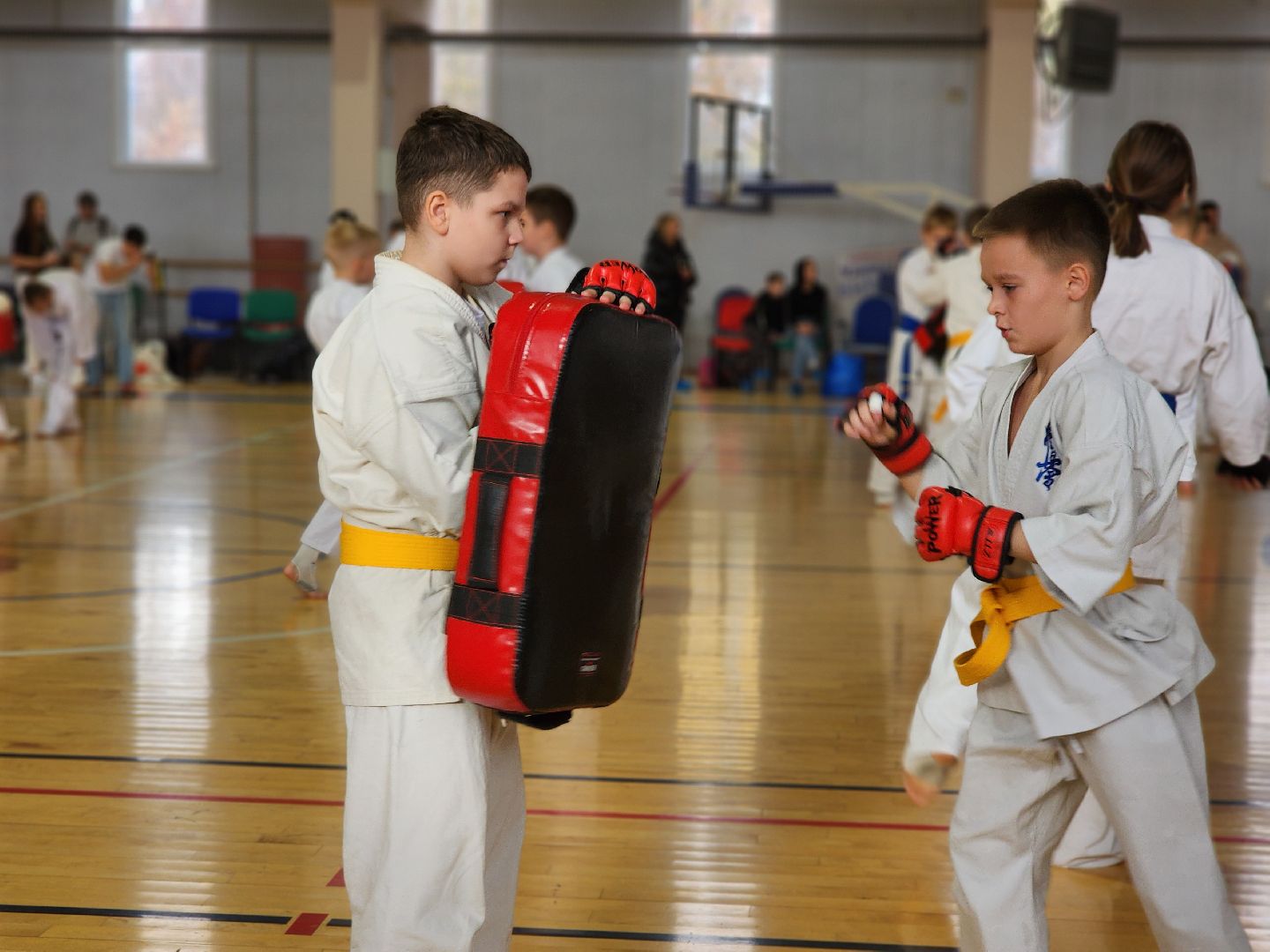 Луховицы, спорт,