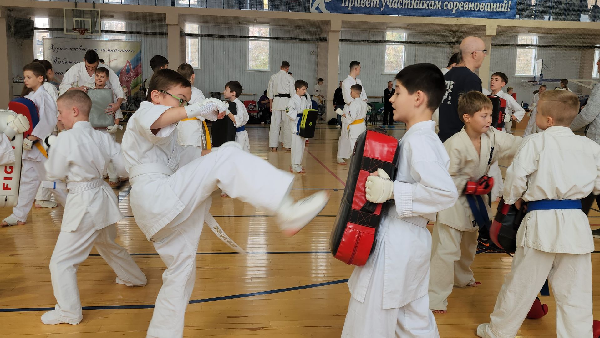 Луховицы, спорт,