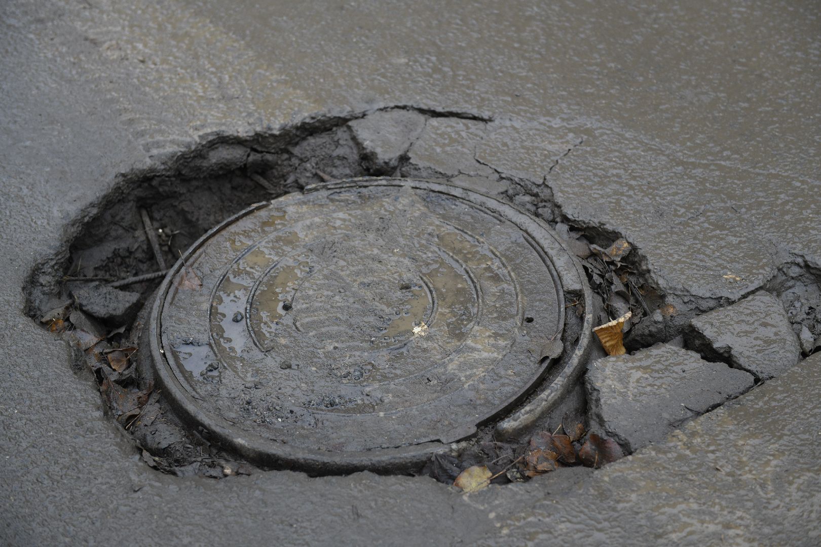 лыткарино, выездная администрация, общество, вертикалка,