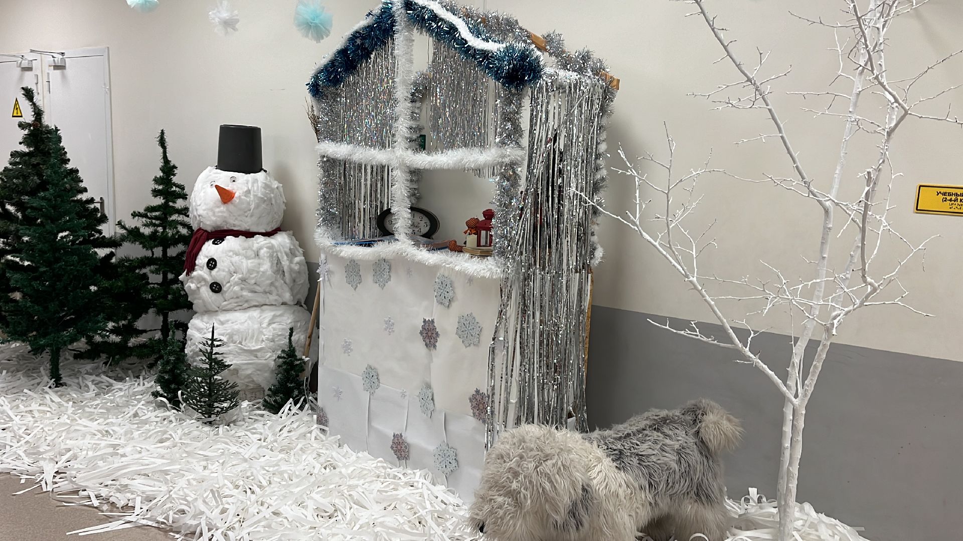 волоколамск, Гимназия, Новый год, сказочный мир,