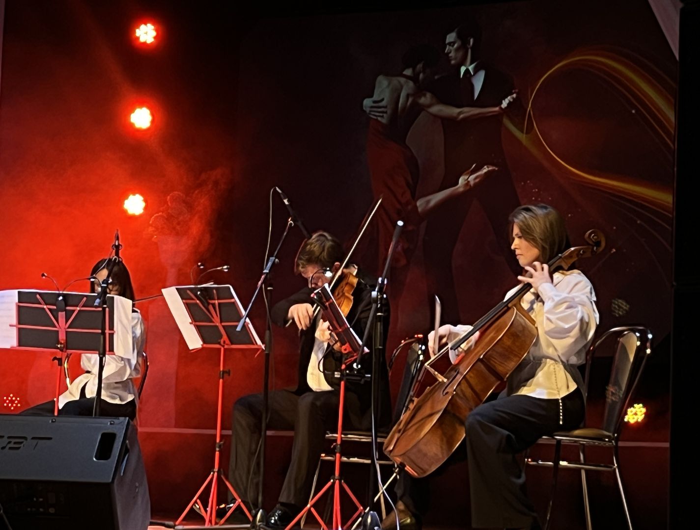 вертикальное видео, вертикалка, наро-фоминск, наро-фоминский городской округ, цдк Звезда, благотворительный концерт, государственный кремлевский оркестр,