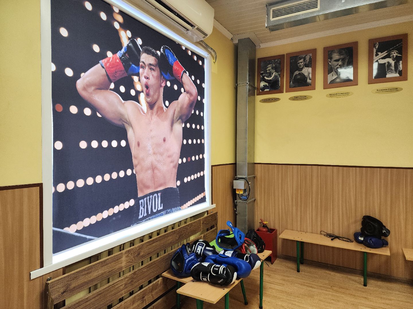 спорт, бокс, чемпионат России по боксу, ногинск, жители, общество, победитель, золотая медаль, спортсмен,