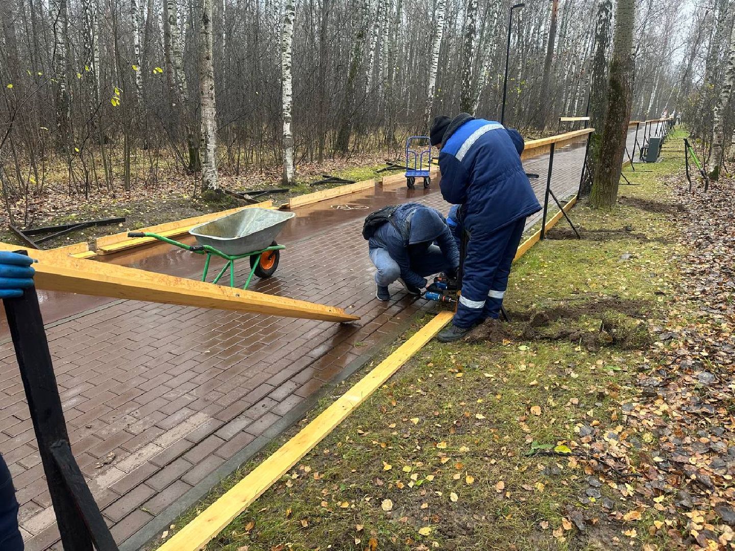 парки домодедово, парк взлет, каток в парке, вертикали