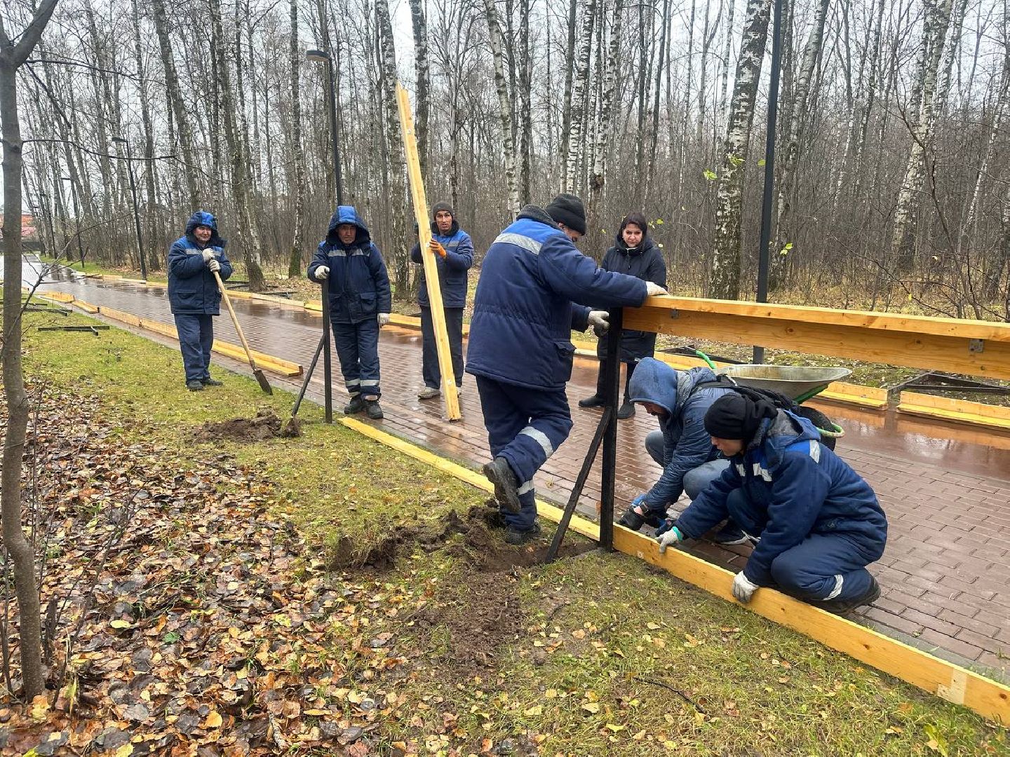парки домодедово, парк взлет, каток в парке, вертикали