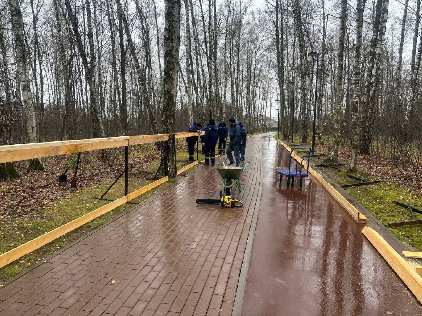 парки домодедово, парк взлет, каток в парке, вертикали