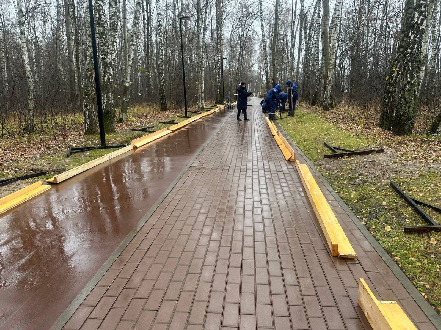 парки домодедово, парк взлет, каток в парке, вертикали