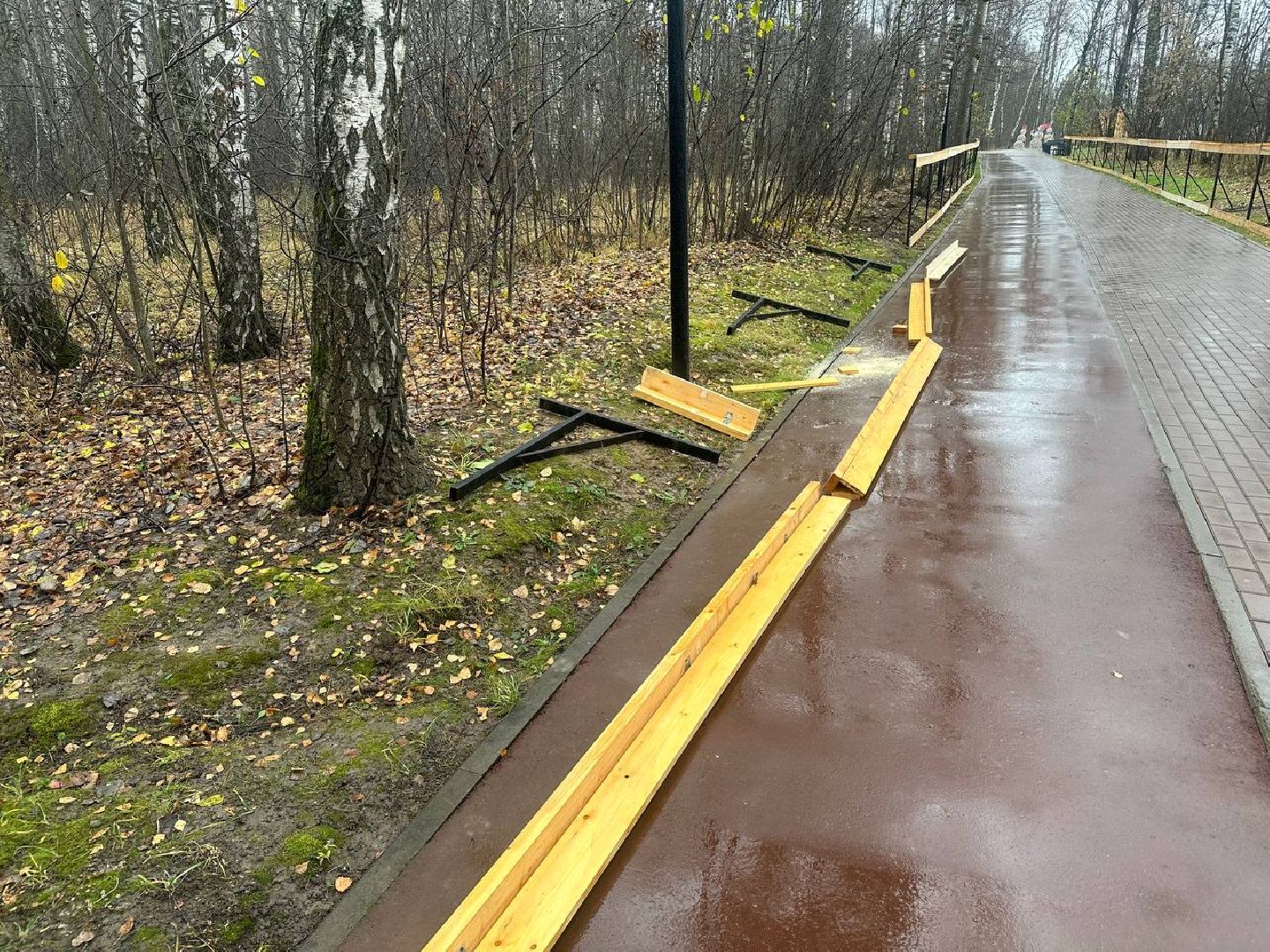 парки домодедово, парк взлет, каток в парке, вертикали