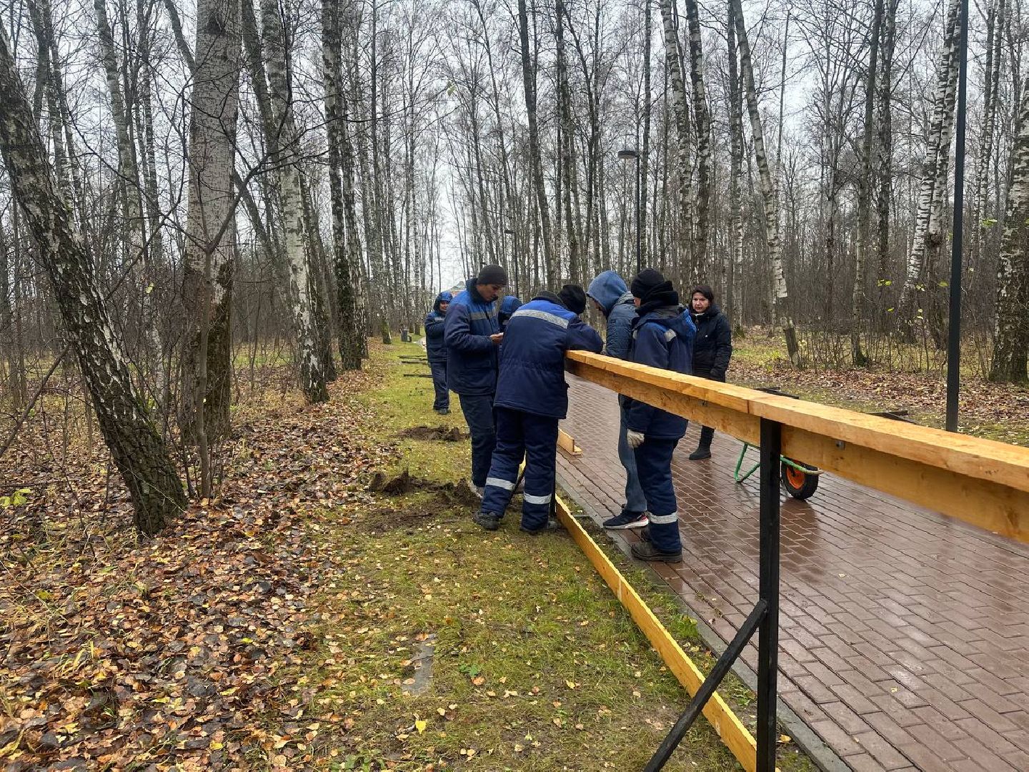 парки домодедово, парк взлет, каток в парке, вертикали